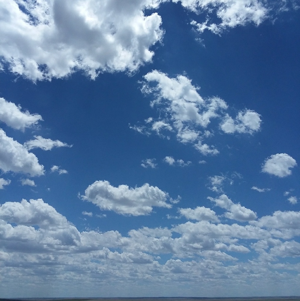 Meet your Posher, Jesus